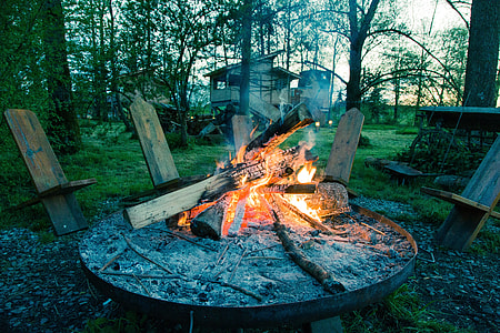 bonfire surrounded by trees thumbnail