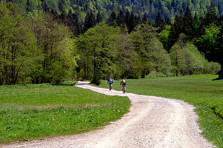 two bikers on road surrounded by green grass during day thumbnail