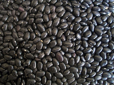 black beans thumbnail