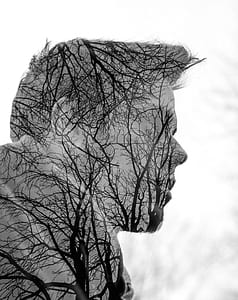 bare trees forming face of a human grayscale art thumbnail