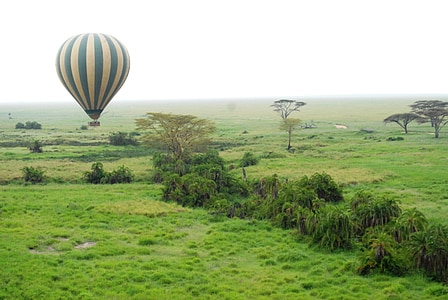 green and white striped hot air balloon thumbnail