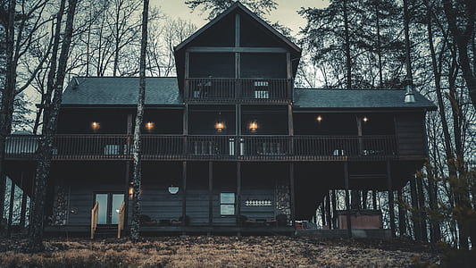 low angle view of brown wooden house surround trees thumbnail