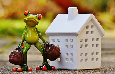 selective focus photo of tree frog figurine near white house miniature thumbnail