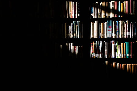 books on shelf thumbnail