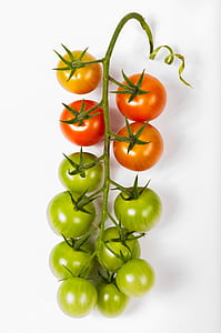 red and green tomatoes thumbnail
