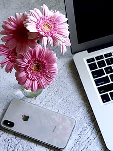 apple, flowers, iphone, smartphone thumbnail