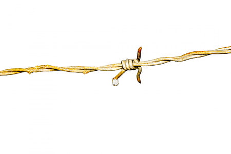 brown barb wire illustration thumbnail