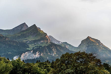 Green Mountain thumbnail