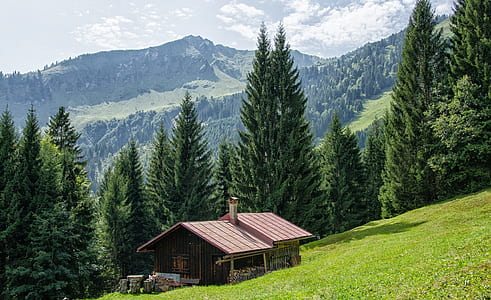 brown shed outdoors thumbnail