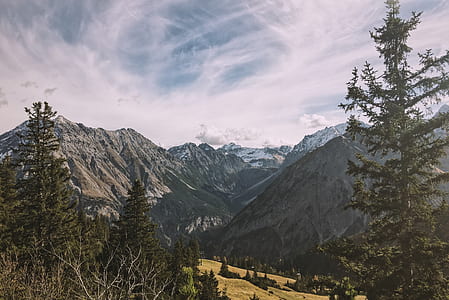 green pine trees near the mountain thumbnail