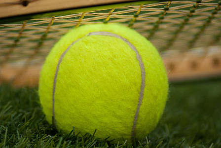 green tennis ball on green grass thumbnail