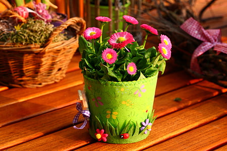 pink English daisies centerpiece thumbnail