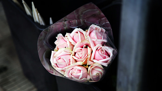 bouquet of pink roses thumbnail