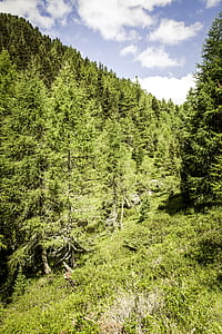 landscape, nature, sky, clouds thumbnail