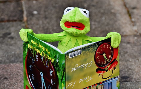 selective focus photo of Kermit the frog holding book thumbnail