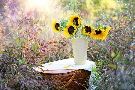 Sunflower on white ceramic flower vase thumbnail
