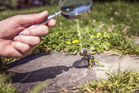 person holding magnifying glass thumbnail