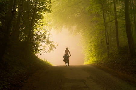 light, road, dawn, landscape thumbnail