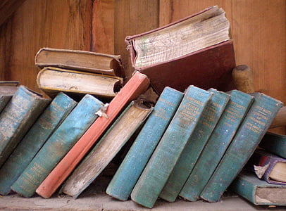 book lot thumbnail