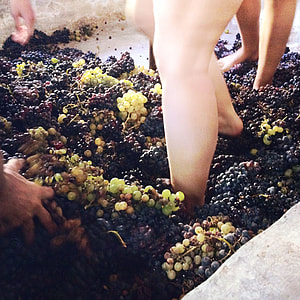 people stepping on grapes thumbnail