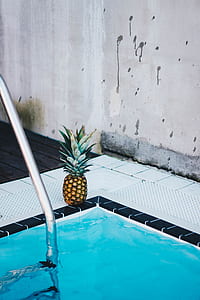 Pineapple Beside the Swimming Pool thumbnail