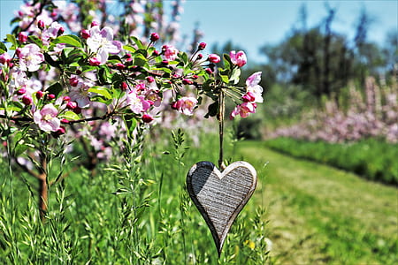heart ornament hanging on pink apple blossom thumbnail