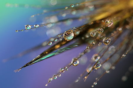 water drops thumbnail