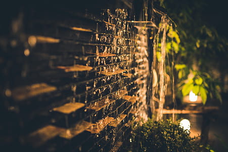 Selective Focus Photography of Brown Brick Wall during Nighttime thumbnail