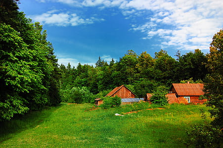 brown barn in middle of tress thumbnail
