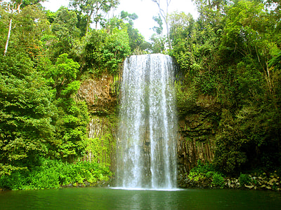 landscape photography of waterfall between green trees thumbnail