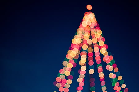 assorted-color string lights thumbnail