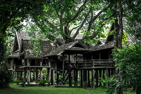 brown wooden house beside trees thumbnail