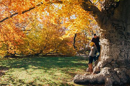 man and woman under maple tree thumbnail