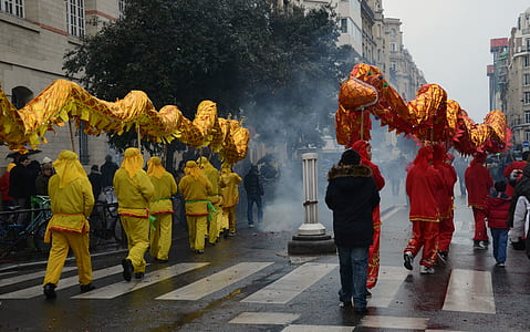 group of people carrying dancing dragon thumbnail