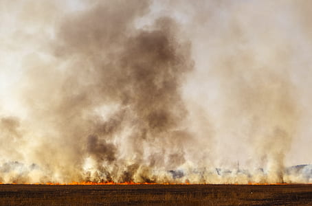 burning ground thumbnail
