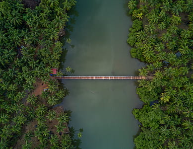 Aerial Photography of Brown Wooden Foot Bridge Connecting Two Forests thumbnail