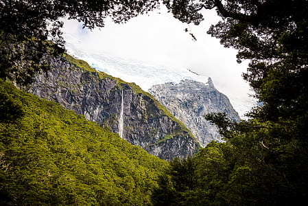 scenery of green grees beside waterfall thumbnail