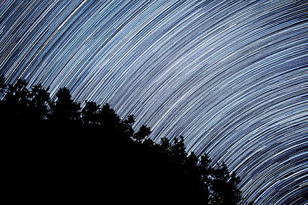 silhouette of trees with long-exposure photo of white lights background thumbnail