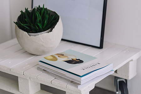 Green plant with magazines thumbnail