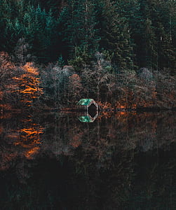 green woods with reflections on body of water thumbnail