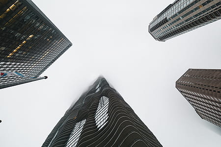 low-angle photo of four high-rise buildings thumbnail