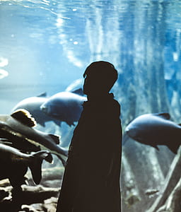 man standing beside aquarium thumbnail