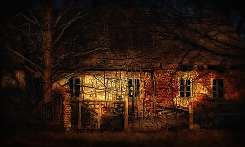 white and brown cabin near tree during daytime thumbnail