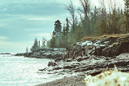 seacliff near forest during daytime thumbnail