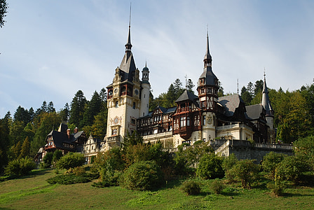 white and black castle surrounded by trees thumbnail