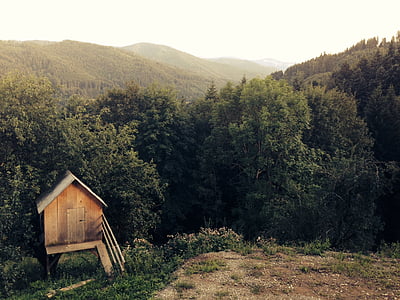 brown shed in front of trees thumbnail