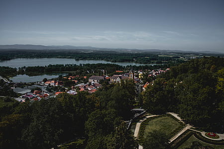 Aerial Photography of Houses Surrounded by Trees thumbnail