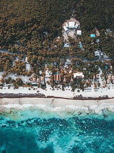 aerial view of seashore thumbnail