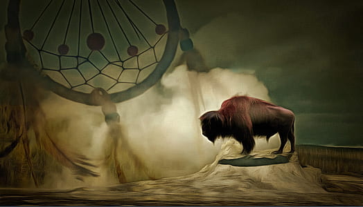 brown yak and teal dreamcatcher digital wallpaper thumbnail