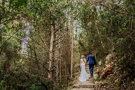 couple walking on stairs surrounded by trees thumbnail